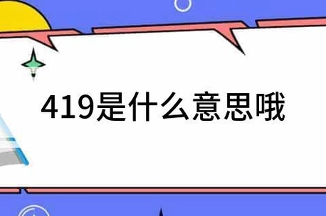 419是什么意思_360快搜