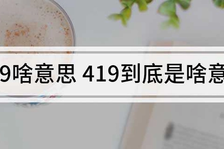419是什么意思_360快搜