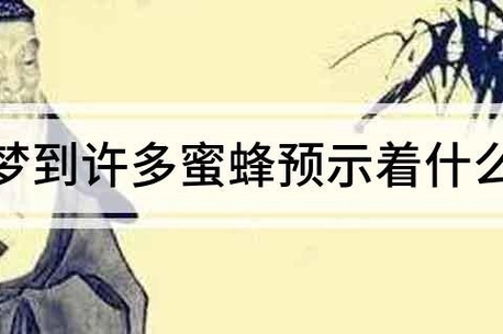 梦到蜜蜂追我是什么意思?(做梦梦到蜜蜂追)