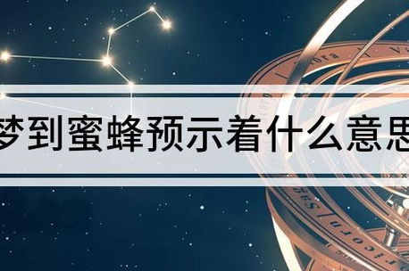 梦见蜜蜂王和好多蜜蜂(梦见蜜蜂王和好多蜜蜂在一起)