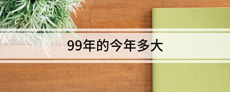 1999年今年多大图片