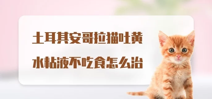 安哥拉药品批发网站官网_安哥拉药品批发网站官网下载 安哥拉药品批发网站官网_安哥拉药品批发网站官网下载