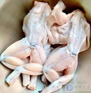 田鸡和牛蛙的区别